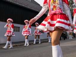 Faschingszug Pressath 2025_139